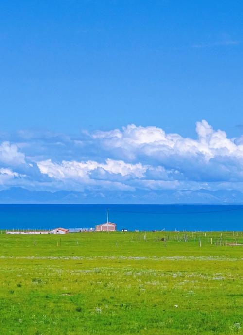 Contestant poisoned after eating toxic plant in Zhangjiajie survival challenge